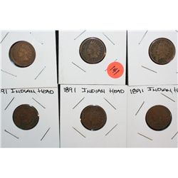 1891 Indian Head Pennies, lot of 6