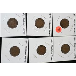 1891 Indian Head Pennies, lot of 6