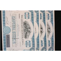 Seatrain Lines, Inc. 100 Shares Stock Certificate, Lot of 5