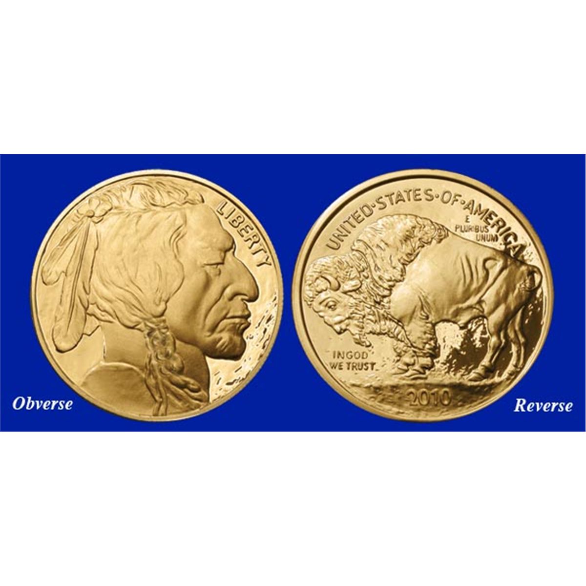 Giant Fifty Dollar GoldClad Buffalo Tribute Proof
