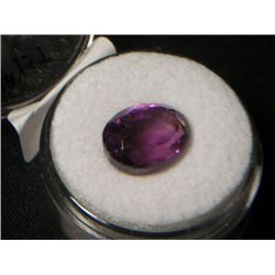 AFRICAN AMETHYST