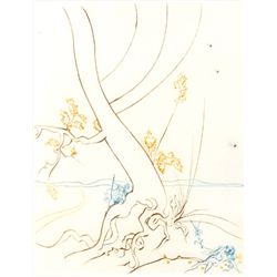 Salvador Dali, Paradise Lost: L’arbre de connaissance (The tree of knowledge)