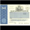 1980s Rollins Intl Stock Certif Scarce Blue (COI-3352)