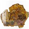 5705ct Vibrant Color Petrified Wood Cut Slab (MIN-000041)