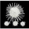 Handcrafted Glass Sea Urchin Mom & Kids (DEC-374)