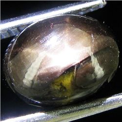 0.97ct Star Black Sapphire Oval (GEM-44190K)