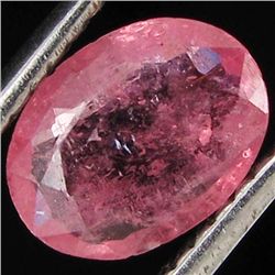 0.86ct Clean Padparadsha Sapphire Oval (GEM-7189C)