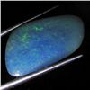 5ct Australian Black Opal Doublet Full Fire (GEM-36298)