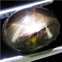 0.62ct Star Black Sapphire Oval (GEM-44190A)