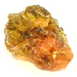 545ct Natural Peru Amber Rough HUGE w/Insects! (MIN-000943)