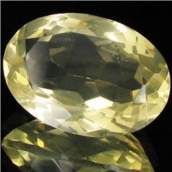 45.85ct Lemon Citrine (GEM-14249A)