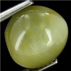 5.6ct Apatite Cat'S Eye Cabochon Oval (GEM-42908)