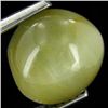 5.6ct Apatite Cat'S Eye Cabochon Oval (GEM-42908)