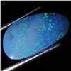 3.14ct Australian Black Opal Doublet Full Fire (GEM-35965)