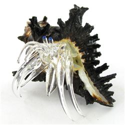 Hand Formed Glass Hermit Crab (DEC-550)
