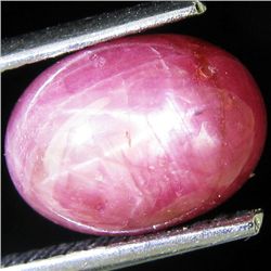 4.2ct Star Ruby Africa (GEM-44452)