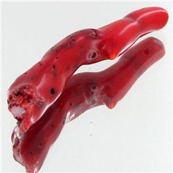 47.3ct Red Coral Freeform (MIN-000647)