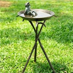 Cool Frog Birdbath