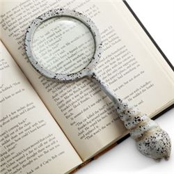 Shell Magnifying Glass