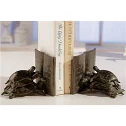 Reading Turtle Bookends