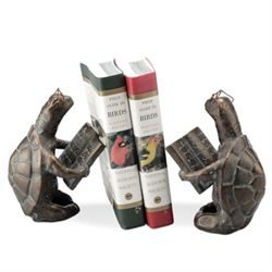 Reading Turtle Bookends