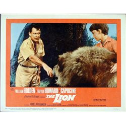 The Lion Original Lobby Card Wildlife Movie Poster 1962