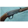 Image 1 : Browning Semi Auto 22