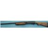 Image 4 : Remington Model 870 Express Magnum