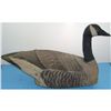 Image 3 : Lloyd C Lindroll Canvas Covered Goose Decoy