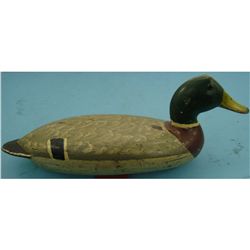 R Elliston Illinois River Mallard