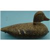 Image 3 : Mallard Hen (Eureka WI)