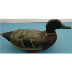 Mallard Drake (Omro WI)