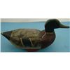 Image 1 : Mallard Drake (Omro WI)