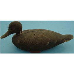 Mallard Hen (Lake Koshkonong)