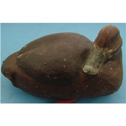 Sleeping Bluebill Hen Decoy