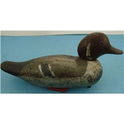 Mason Decoy