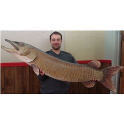 58" Wooden Muskey