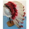 Image 1 : Indian Head Dress
