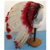 Image 2 : Indian Head Dress