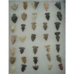 Display of 35 Stone Bird Points