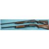 Image 4 : Pair of Pump Action Shotguns