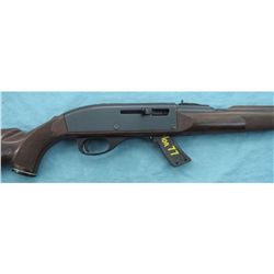 Remington Model 10C Nylon 22 cal. Rifle