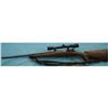 Image 4 : Mauser Action 8mm Sporter w/ Scope