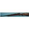Image 6 : Winchester Pre 64 Model 70 Featherweight