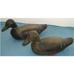 Pair of Victor Wooden Mallard Decoys