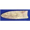 Image 2 : 3 7/8" Clovis Point