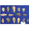 Image 1 : Display of 15 Arrowheads
