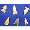 Image 1 : Display of 6 nice Bird Points