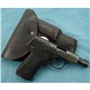 Image 1 : Walther Model 7 25 ACP Pistol w/holster