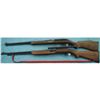 Image 4 : Pair of Semi automatic 22 cal. Rifles